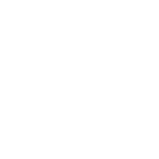 Network of Minority Health_white